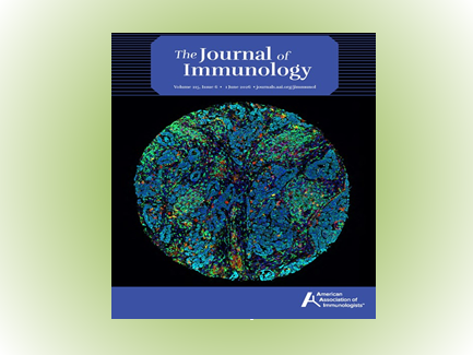 CR6-CCL20 signaling modulates immunoglobulin isotype switching at the mucosal barrier during gut...
